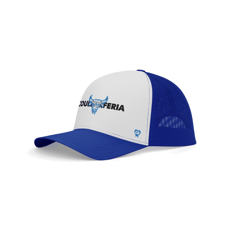 Casquette - Couleur feria et taureau spray (bleu)